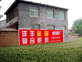 安庆如何让墙体广告展现最大化效果